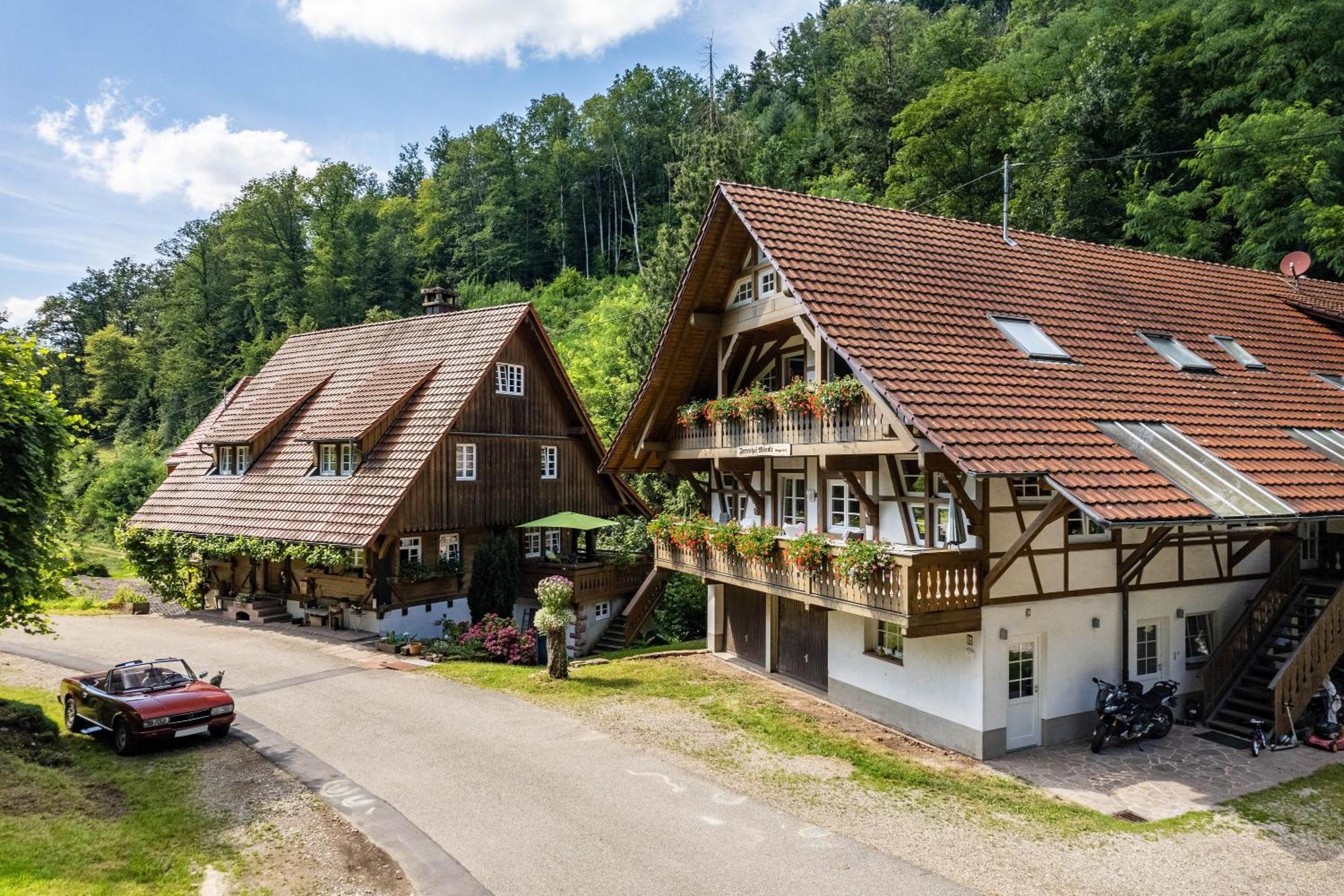 Ferienhof Maennle Gengenbach Kültér fotó